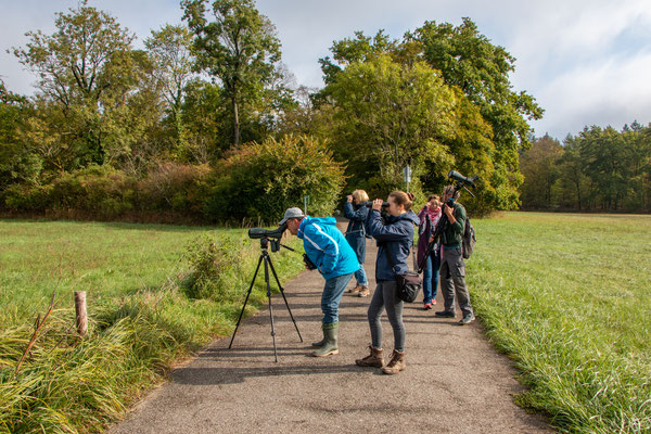 Mit Spektiv und Fernglas ganz nah ran (Foto: B. Budig)