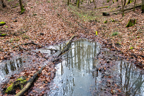 (Foto: B. Budig)