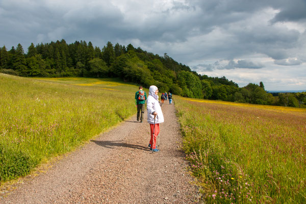 Weiter geht's zum Vulkanerlebnispark (Foto: B. Budig)