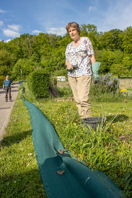 Marion hat den Grasfrosch entdeckt (Foto: B. Budig)