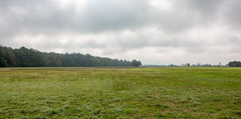 Saalbachniederung (Foto: B. Budig)