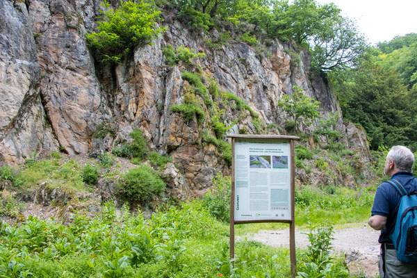 Ehemaliger Rhyolith-Steinbruch (Foto: B. Budig)