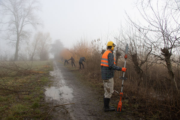 Auch nebeliges Wetter hält uns nicht ab (Foto: B. Budig)
