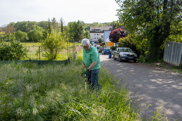 Vorbereitung mit Mähen auf der Innenseite (Foto: B. Budig)