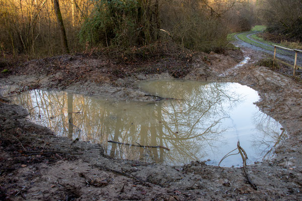 Erste Kontrolle im Januar 2022 (Foto: B. Budig)