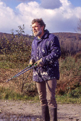 Rückschnitt der Kopfweiden 1995 (Foto: B. Budig)