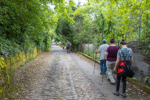 steiniger und abschüssiger Weg zum Handschuhsheimer Friedhof (Foto: B. Budig)