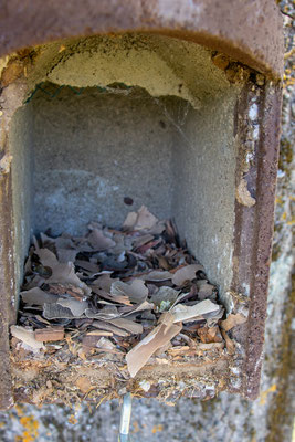 Kleibernest aus Rindenstückchen (Foto: H. Budig)