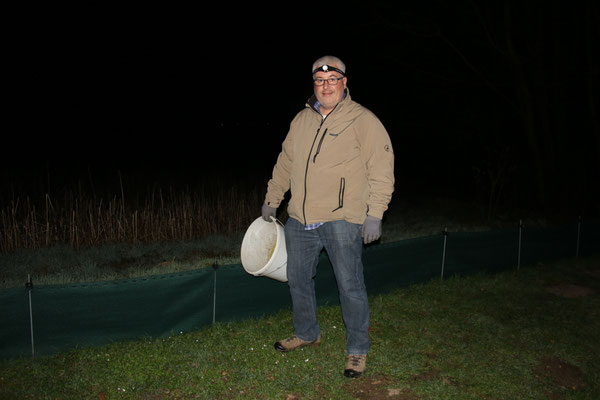 Nächtliche Kontrolle des Amphibienzaunes (Foto: B. Budig)