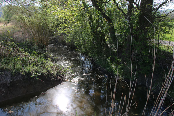 Zufluss zum Bruchraingraben (Foto: B. Budig)