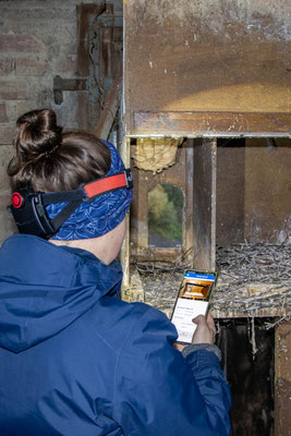 NABU-Nistkasten-App im Praxistest (Foto: B. Budig)