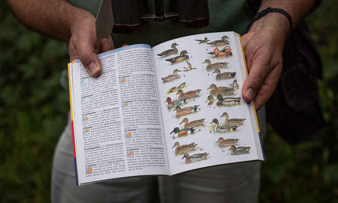  Mit dem Vogelführer unterwegs (Foto: Svenja Spannagel)