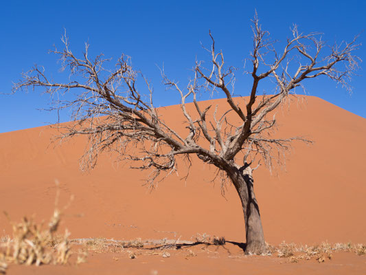 Sossusvlei, Namibia