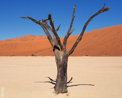 Sossusvlei, Namibia