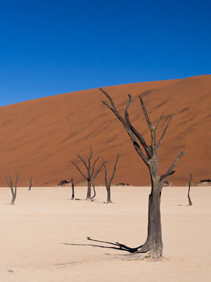 Sossusvlei, Namibia