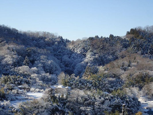 雪景色　渋沢丘陵・千村