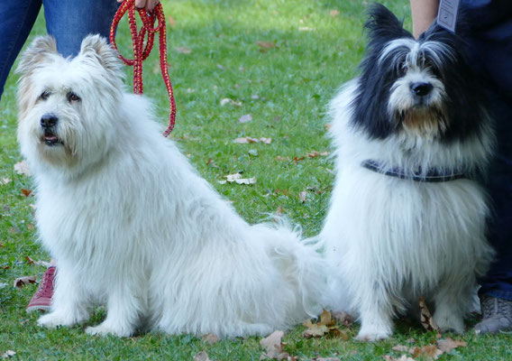 Foto: Michaela Hilburger. Die rauen Elo-Schwestern Pauline-Phina und Philina-Lilly von Werths Echte