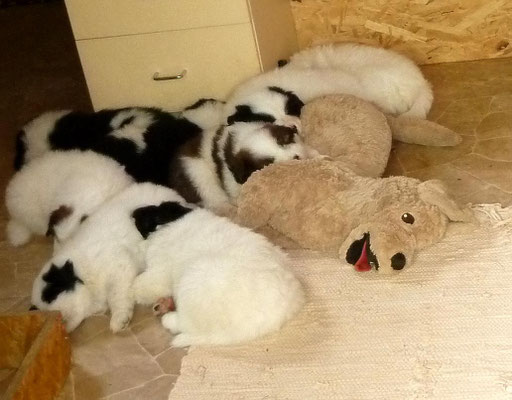 Ne Runde chillen.
