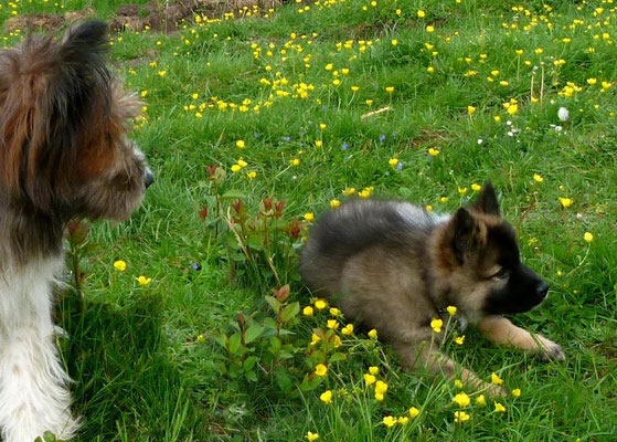 Dann machs mal gut Roxy, man sieht sich.