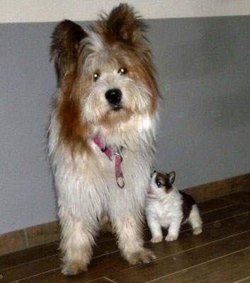 Qinoha-Pepper, deine Mama hat dich gerufen.