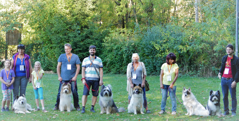 Foto: Michaela Hilburger. Deckrüden-Anwärter Usamino-Knobbers, Mutter Pookie, Deckrüde U-Billie-Jean-Mikko, Deckrüde Uzou, Unisha-Pookie und U-Tschakka von Werths Echte