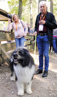 Foto: Annika Wagner. Willi-Welan von Werths Echte mit seinen Futterknechten