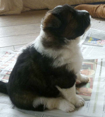 23.03. So - ihr seid jetzt also mein Besuch???