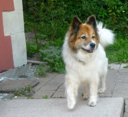 Die 12jhrige Dina von Werths Echte war zu Besuch...