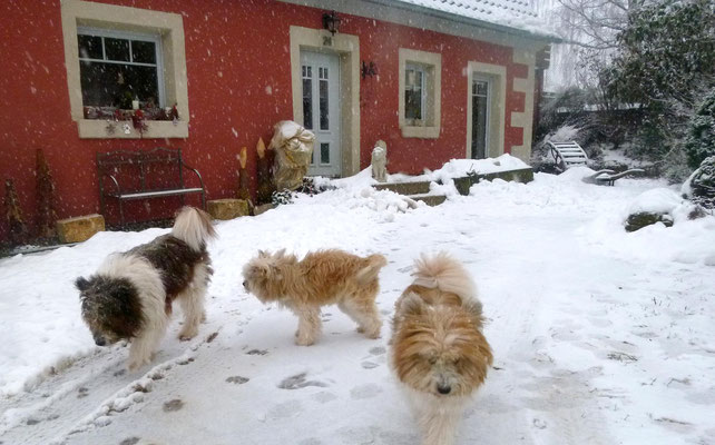 ...,und geniessen den vielen Schnee.