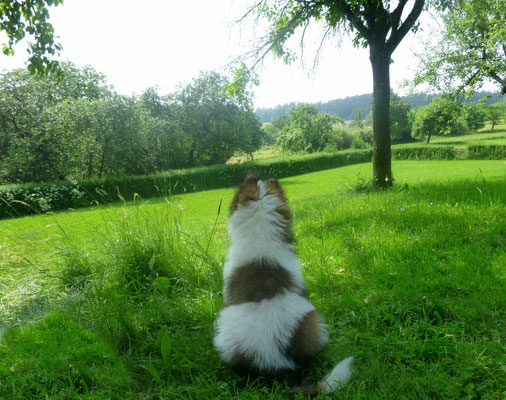 ...alles MEINS!