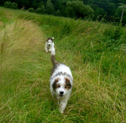 11.06. Kleiner Spaziergang auf dem Weg ins Eloland.