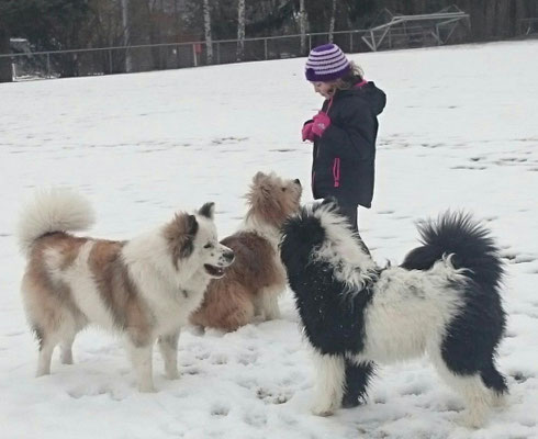 Kinderhund