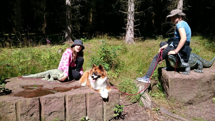Servicehund