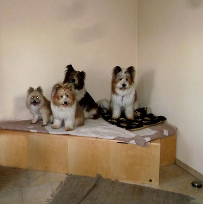...wir haben ein eigenes Zimmer - mit einem Podest!