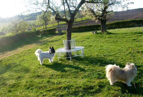 Den Abend...