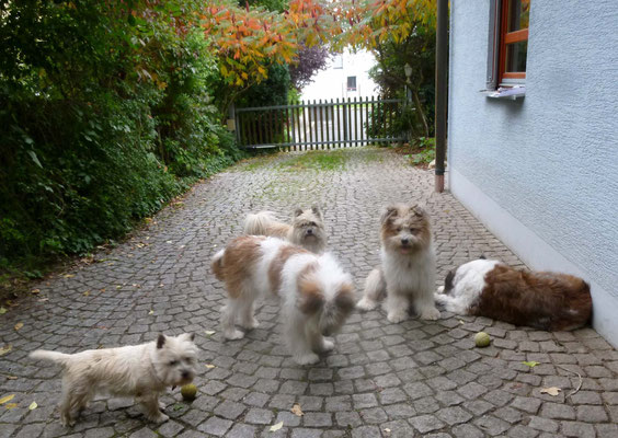Unsere Elos in Veitsbronn.