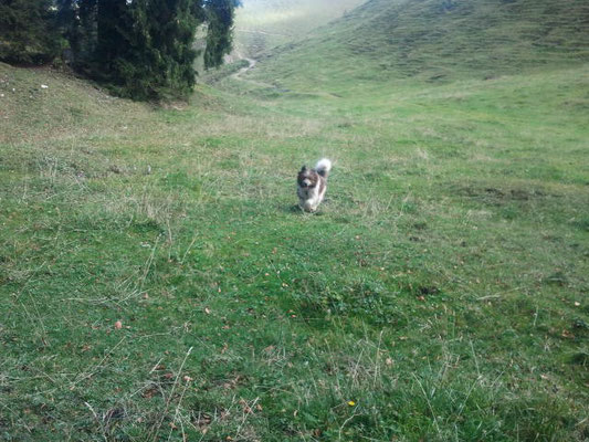 ...gut getan.