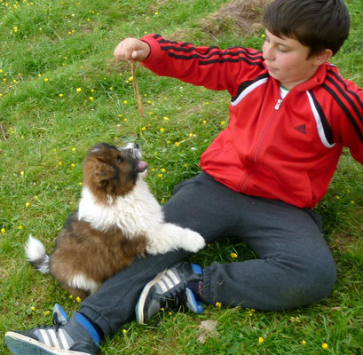 7. Woche   06.05. viel, viel toben ist angesagt.
