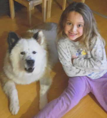 kindergeeignete Hunderasse