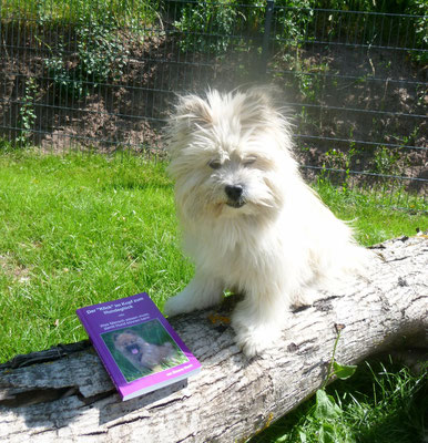 Endlich - es war echt schon ganz schön eng: Der Nachdruck von der 2. Auflage von Der "Klick" im Kopf zum Hundeglück ist da!!!