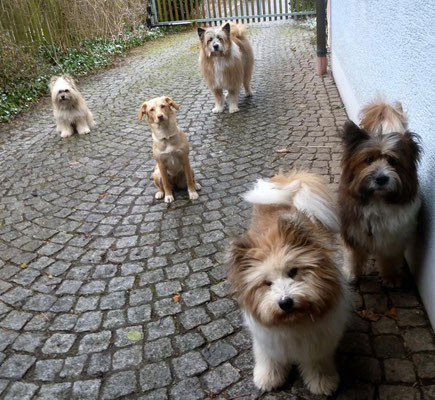 Soo, machst du uns auf?