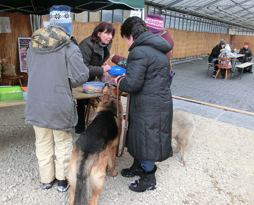 Oder es gab T-Shirts mit Logo der Hundeschule Fürth. Und auch der Erziehungsratgeber -Der "Klick" im Kopf zum Hundeglück aus dem http://www.anrosi-verlag.de war dabei.