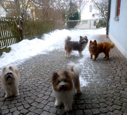 Und dann hat es endlich geschneit.