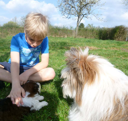 07.04. Deine Familie ist zu Besuch, Rocky...die Jungs sind echt gut drauf, da wirst du Spaß haben.