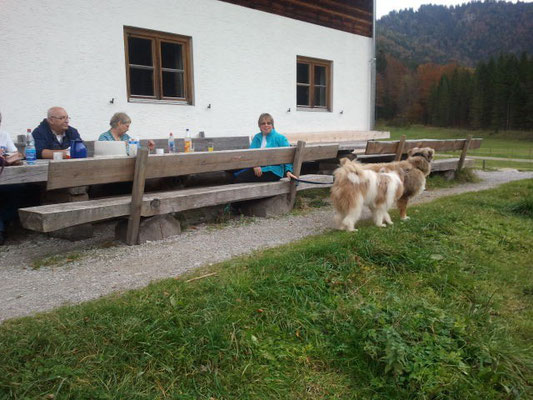 ...es hat wieder riesig Spaß gemacht.