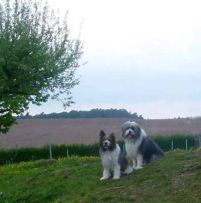 Candy und Bolle - ein groooooßer Kerle ist er.