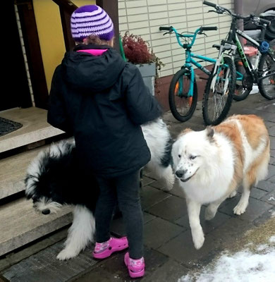 Lpf-Hund