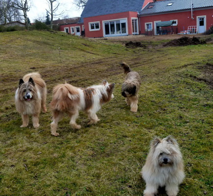 Raja und Emma sind auch noch da...