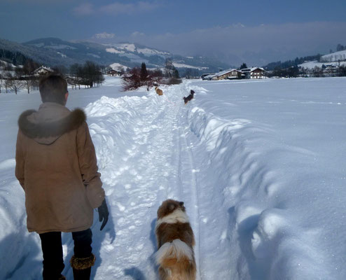 Wunderschön der Spaziergang...