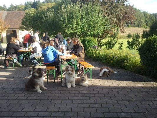Nach einem schönen Spaziergang mit dem Dorfverein Oberdombach.